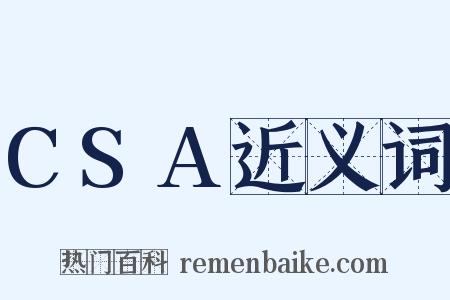 CSA近义词是什么意思的图片